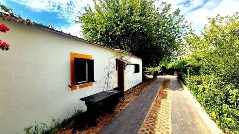 Moradia >=T10 Venda em Azeitão (São Lourenço e São Simão),Setúbal