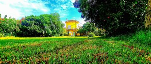 Moradia >=T10 Venda em Azeitão (São Lourenço e São Simão),Setúbal