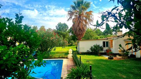 Moradia >=T10 Venda em Azeitão (São Lourenço e São Simão),Setúbal