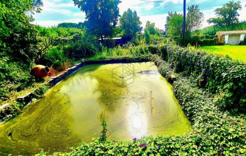 Moradia T3 Arrendamento em Azeitão (São Lourenço e São Simão),Setúbal