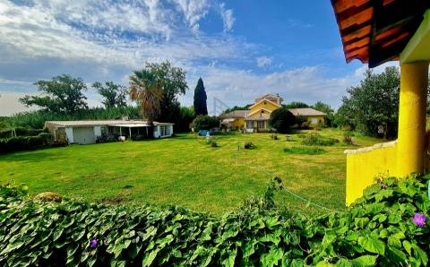 Moradia T3 Arrendamento em Azeitão (São Lourenço e São Simão),Setúbal