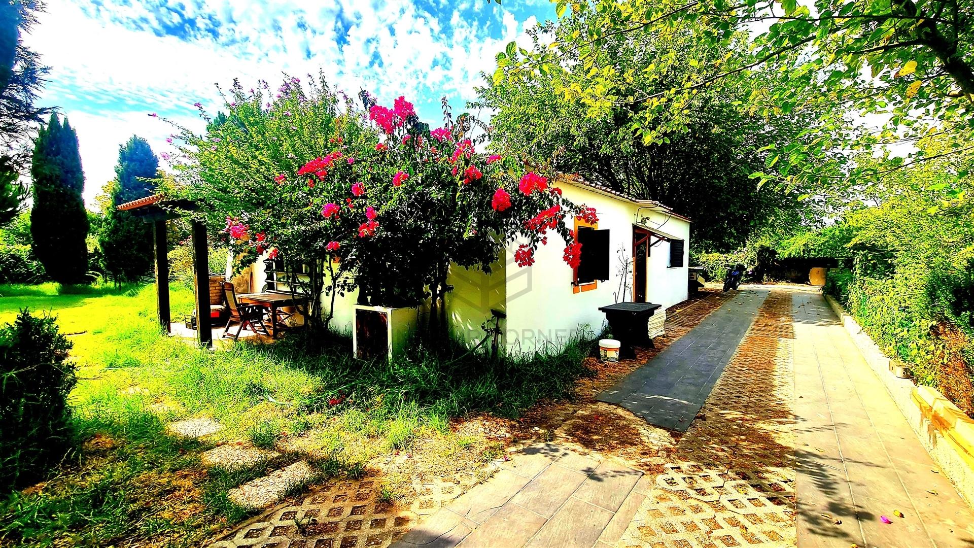 Moradia T2 Arrendamento em Azeitão (São Lourenço e São Simão),Setúbal