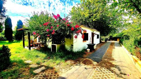 Moradia T2 Arrendamento em Azeitão (São Lourenço e São Simão),Setúbal