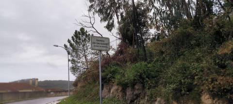 Lote de Terreno  Venda em Almargem do Bispo, Pêro Pinheiro e Montelavar,Sintra