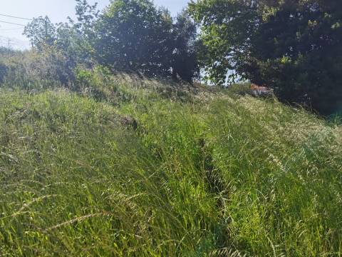 Terreno Misto  Venda em Sandim, Olival, Lever e Crestuma,Vila Nova de Gaia