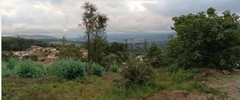 Terreno  Venda em Pinheiro da Bemposta, Travanca e Palmaz,Oliveira de Azeméis
