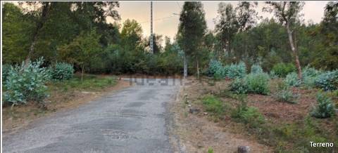 Terreno  Venda em Pinheiro da Bemposta, Travanca e Palmaz,Oliveira de Azeméis