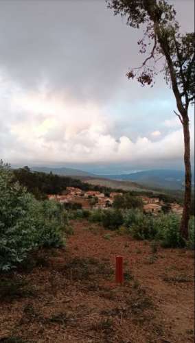 Terreno  Venda em Pinheiro da Bemposta, Travanca e Palmaz,Oliveira de Azeméis