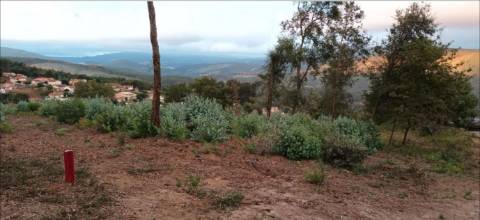 Terreno  Venda em Pinheiro da Bemposta, Travanca e Palmaz,Oliveira de Azeméis