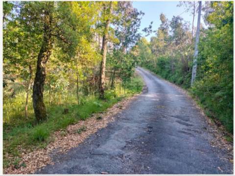 Terreno  Venda em Pinheiro da Bemposta, Travanca e Palmaz,Oliveira de Azeméis