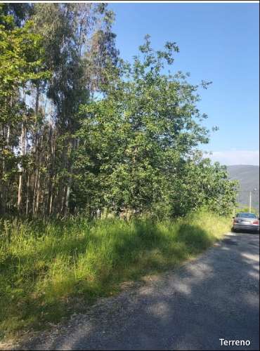 Terreno  Venda em Pinheiro da Bemposta, Travanca e Palmaz,Oliveira de Azeméis