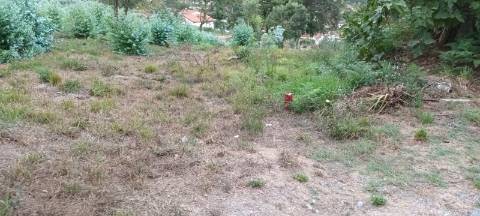 Terreno  Venda em Pinheiro da Bemposta, Travanca e Palmaz,Oliveira de Azeméis