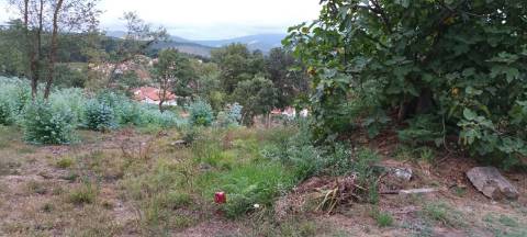 Terreno  Venda em Pinheiro da Bemposta, Travanca e Palmaz,Oliveira de Azeméis