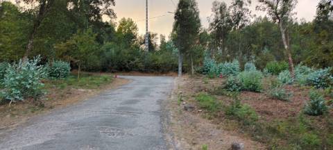 Terreno  Venda em Pinheiro da Bemposta, Travanca e Palmaz,Oliveira de Azeméis