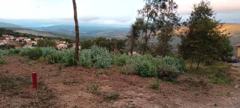 Terreno  Venda em Pinheiro da Bemposta, Travanca e Palmaz,Oliveira de Azeméis