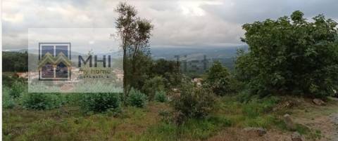 Terreno  Venda em Pinheiro da Bemposta, Travanca e Palmaz,Oliveira de Azeméis