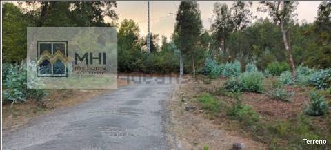 Terreno  Venda em Pinheiro da Bemposta, Travanca e Palmaz,Oliveira de Azeméis