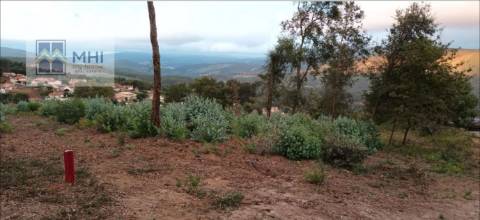 Terreno  Venda em Pinheiro da Bemposta, Travanca e Palmaz,Oliveira de Azeméis