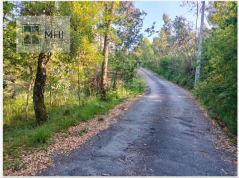 Terreno  Venda em Pinheiro da Bemposta, Travanca e Palmaz,Oliveira de Azeméis
