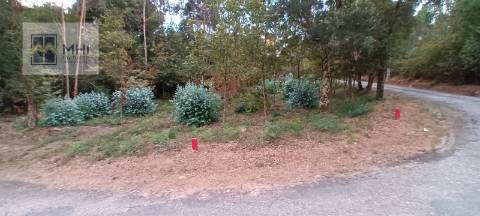 Terreno  Venda em Pinheiro da Bemposta, Travanca e Palmaz,Oliveira de Azeméis