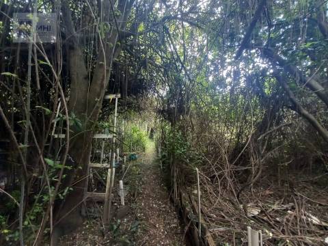 Moradia Devoluta T2 Venda em Campanhã,Porto