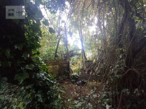 Moradia Devoluta T2 Venda em Campanhã,Porto