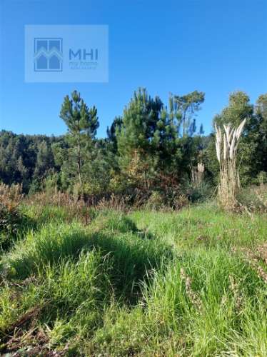 Terreno  Venda em Sandim, Olival, Lever e Crestuma,Vila Nova de Gaia