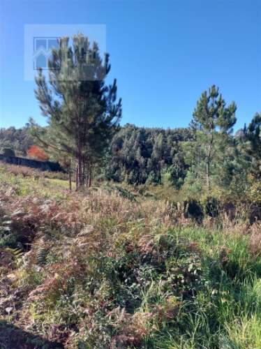 Terreno  Venda em Sandim, Olival, Lever e Crestuma,Vila Nova de Gaia