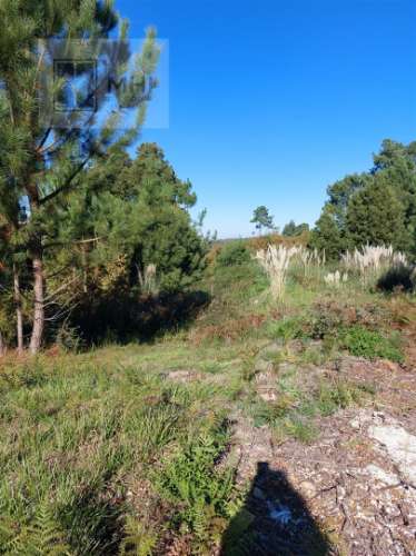 Terreno  Venda em Sandim, Olival, Lever e Crestuma,Vila Nova de Gaia