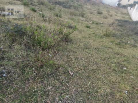 Terreno  Venda em Canedo, Vale e Vila Maior,Santa Maria da Feira