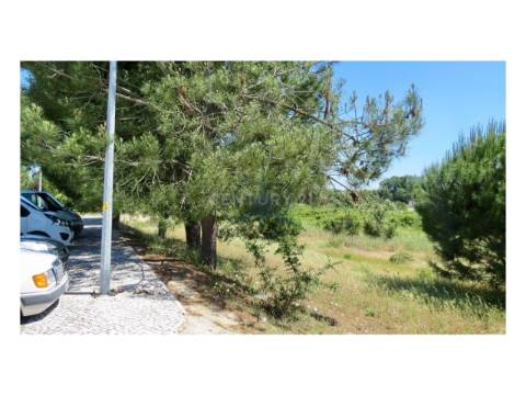 Lote de Terreno com 333m2, localizado em Pegões.