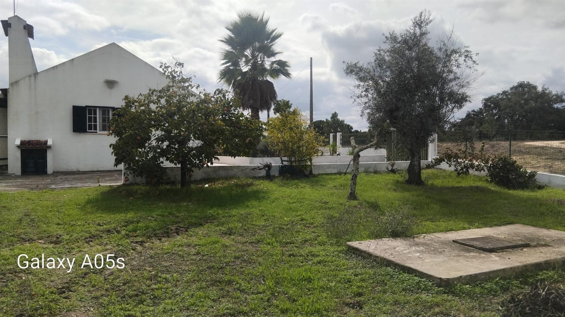 Quintinha T2 com 6.500 m² em Cortiçadas de Lavre – Montemor-o-Novo