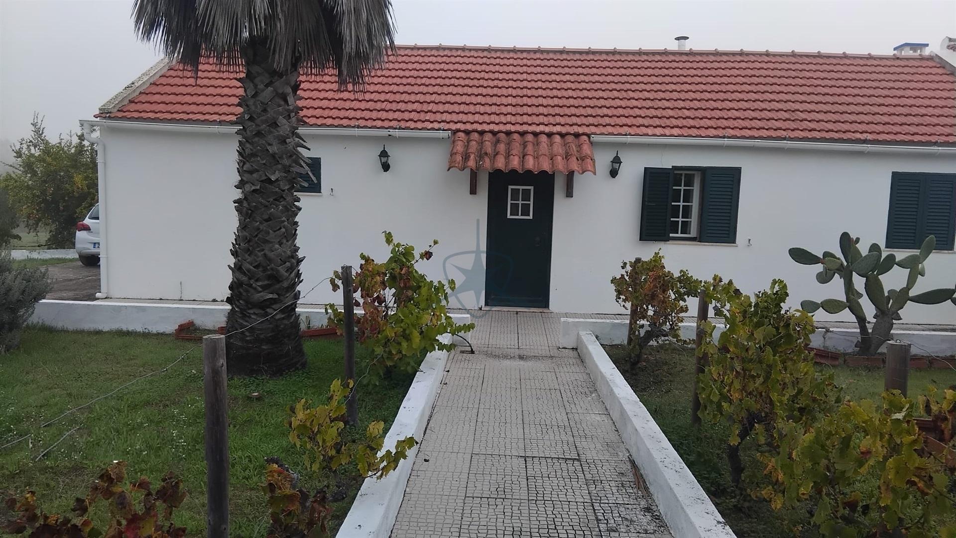 Quintinha T2 com 6.500 m² em Cortiçadas de Lavre – Montemor-o-Novo