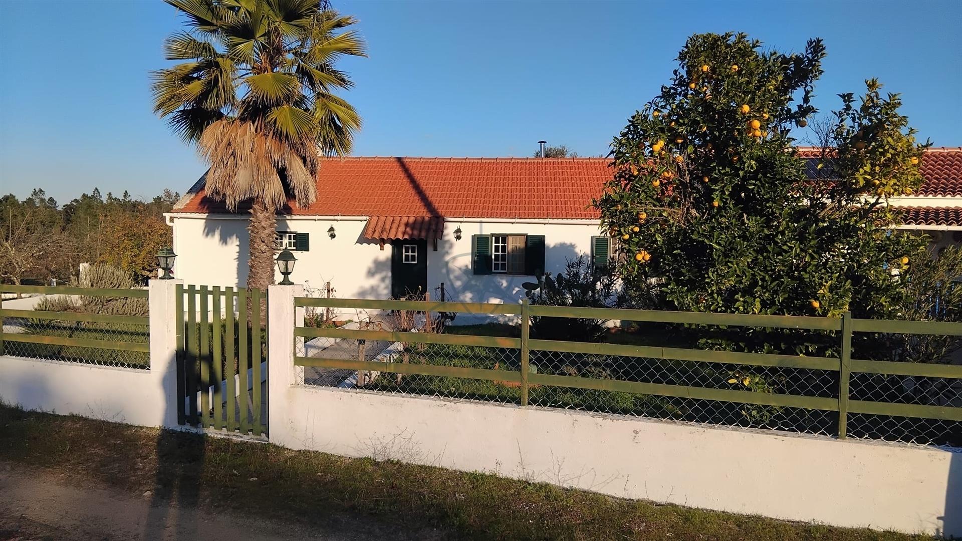 Quintinha T2 com 6.500 m² em Cortiçadas de Lavre – Montemor-o-Novo