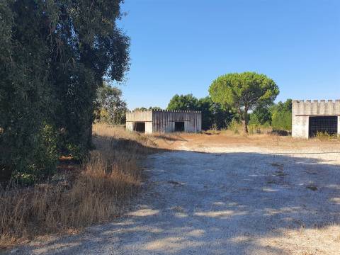 Lote de Terreno Urbano - Pegões