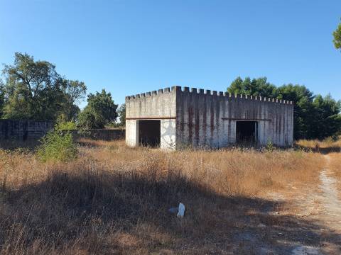 Lote de Terreno Urbano - Pegões