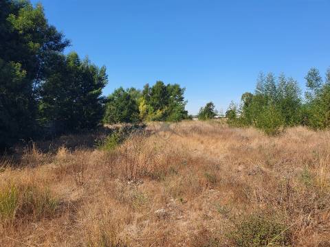 Lote de Terreno Urbano - Pegões