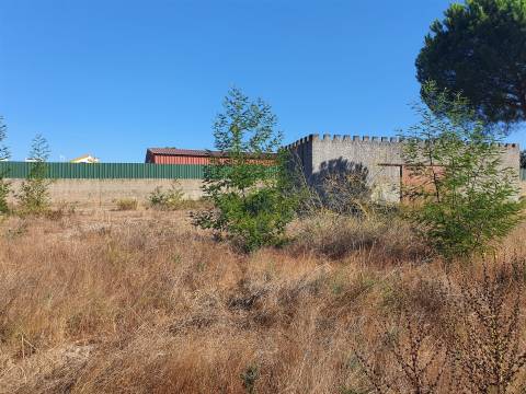 Lote de Terreno Urbano - Pegões