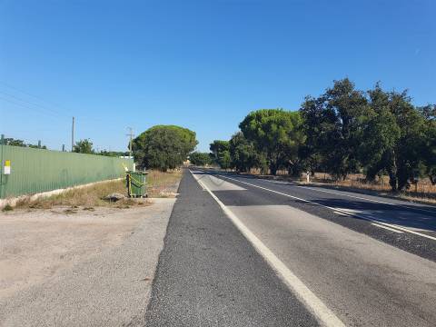 Lote de Terreno Urbano - Pegões