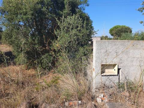 Lote de Terreno Urbano - Pegões