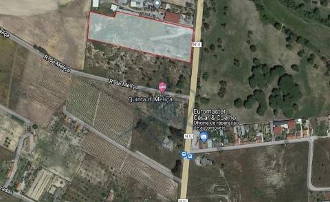 Lote de Terreno Urbano - Pegões