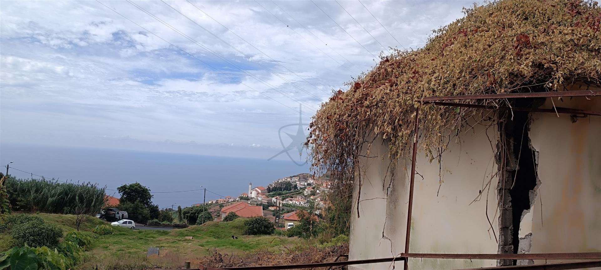 Terreno  Venda em Campanário,Ribeira Brava