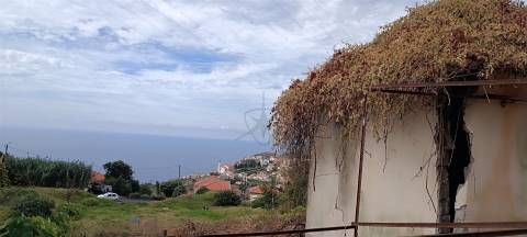Terreno  Venda em Campanário,Ribeira Brava