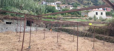 Terreno  Venda em Campanário,Ribeira Brava