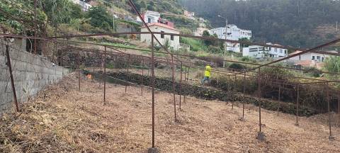 Terreno  Venda em Campanário,Ribeira Brava