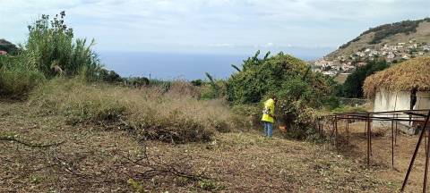 Terreno  Venda em Campanário,Ribeira Brava
