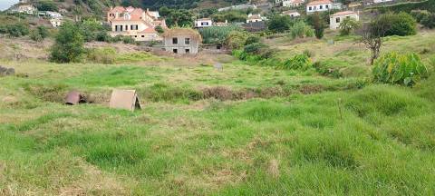 Terreno Urbano  Venda em Campanário,Ribeira Brava