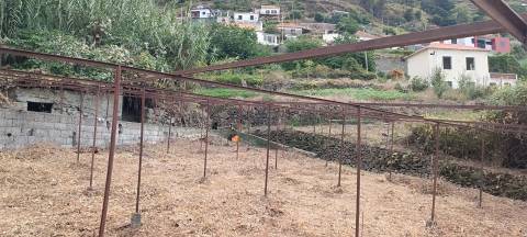 Terreno Urbano  Venda em Campanário,Ribeira Brava