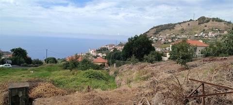 Terreno Urbano  Venda em Campanário,Ribeira Brava