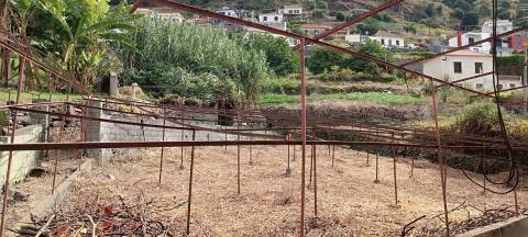 Terreno Urbano  Venda em Campanário,Ribeira Brava